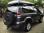 IMGP5690-4.jpg