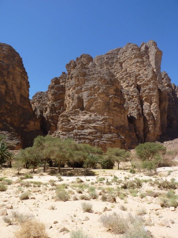 P1000419.jpg