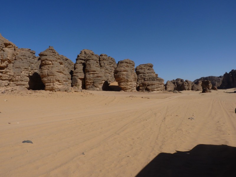 P1000432.jpg