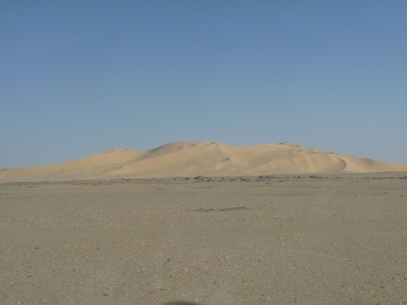P1000462.jpg