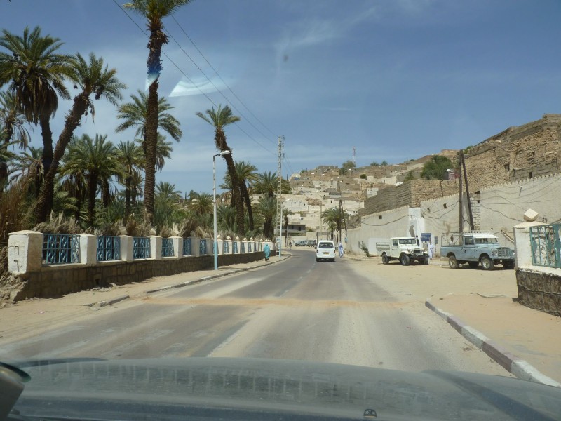 P1000555.jpg