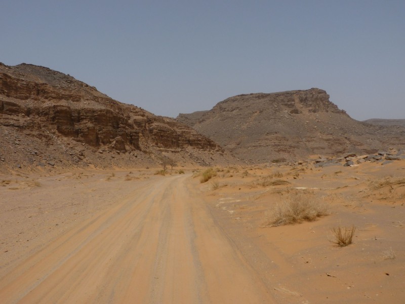 P1000648.jpg