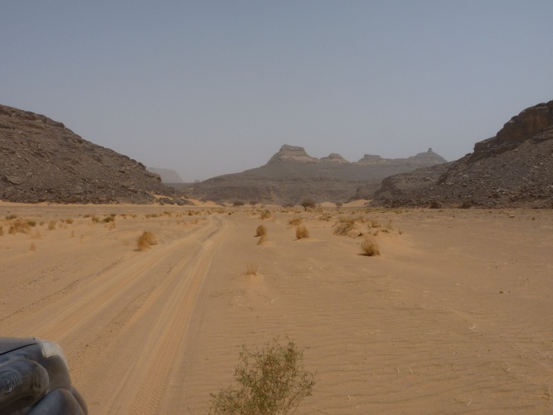 P1000657.jpg