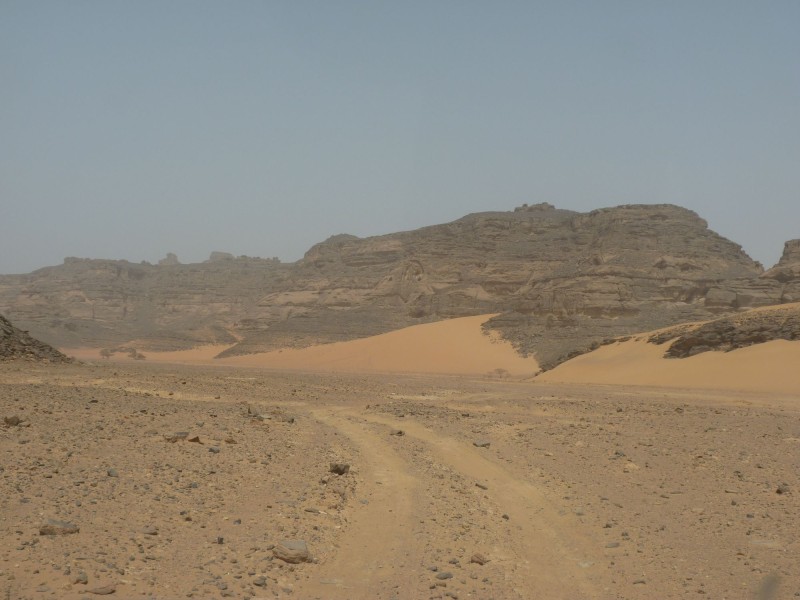 P1000667.jpg