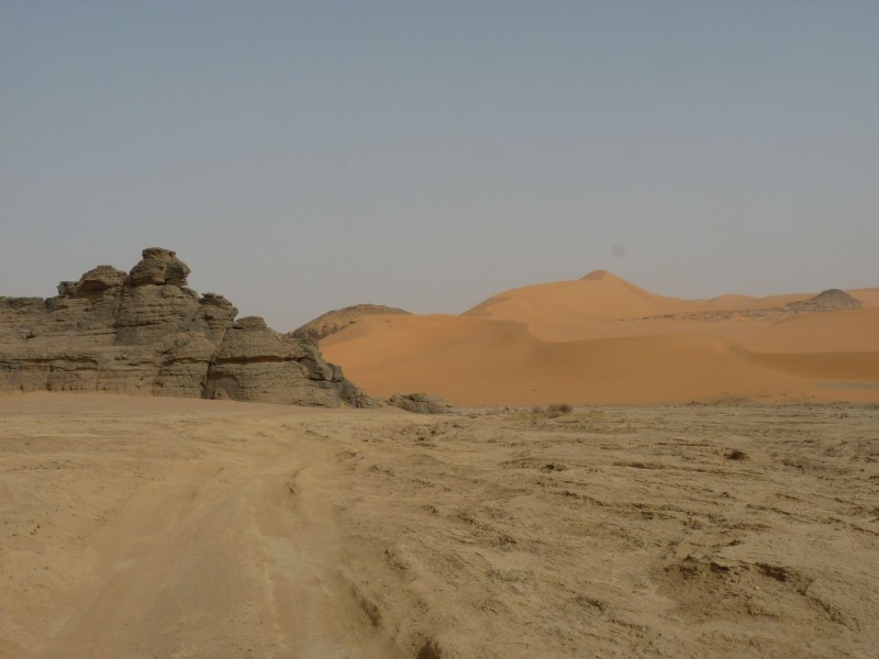 P1000695.jpg