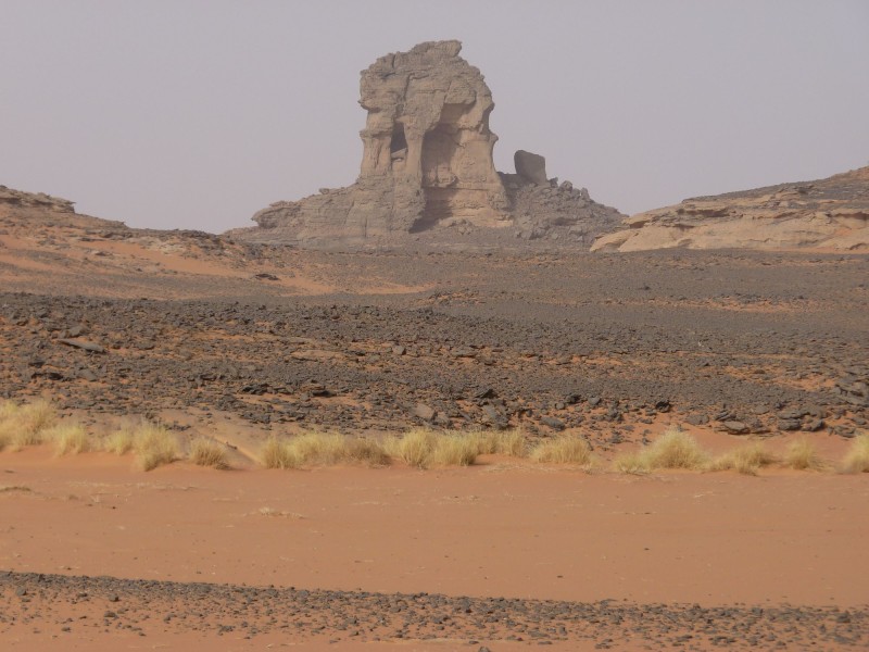 P1000706.jpg