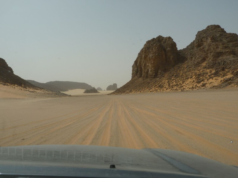 P1000794.jpg
