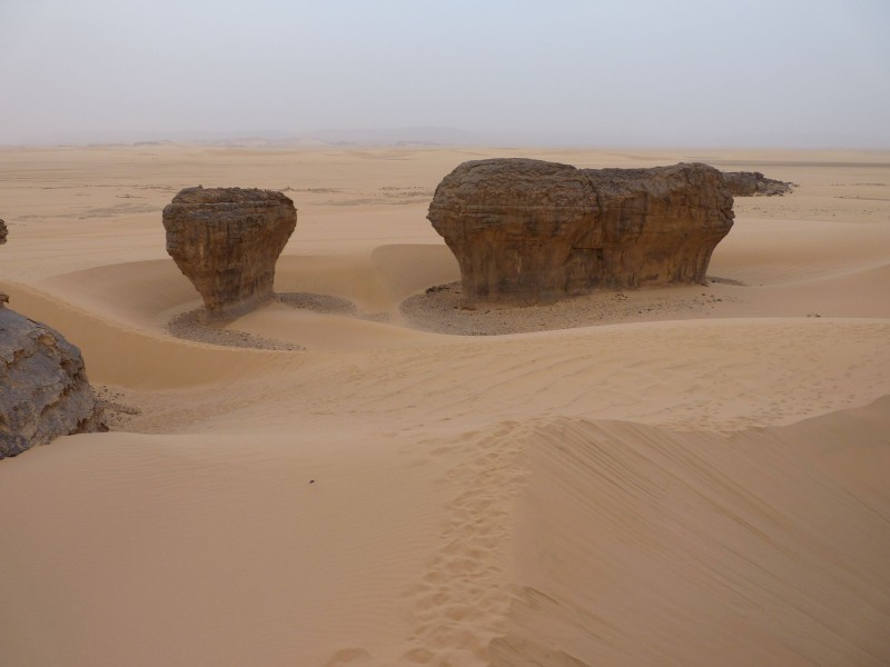 P1000983.jpg