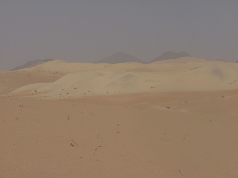 P1010283.jpg
