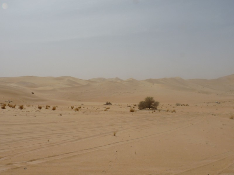 P1010294.jpg