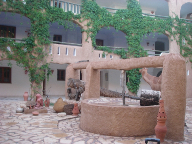 IMGP0015.jpg