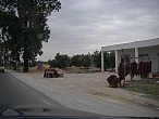 IMGP0014.jpg