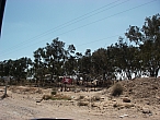 IMGP0031.jpg