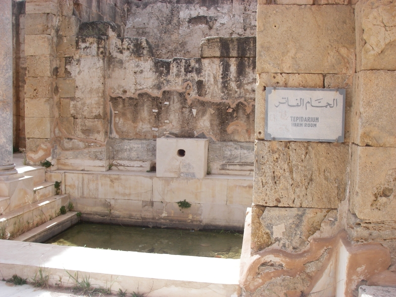 IMGP0094.jpg