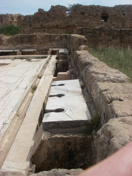 IMGP0103.jpg