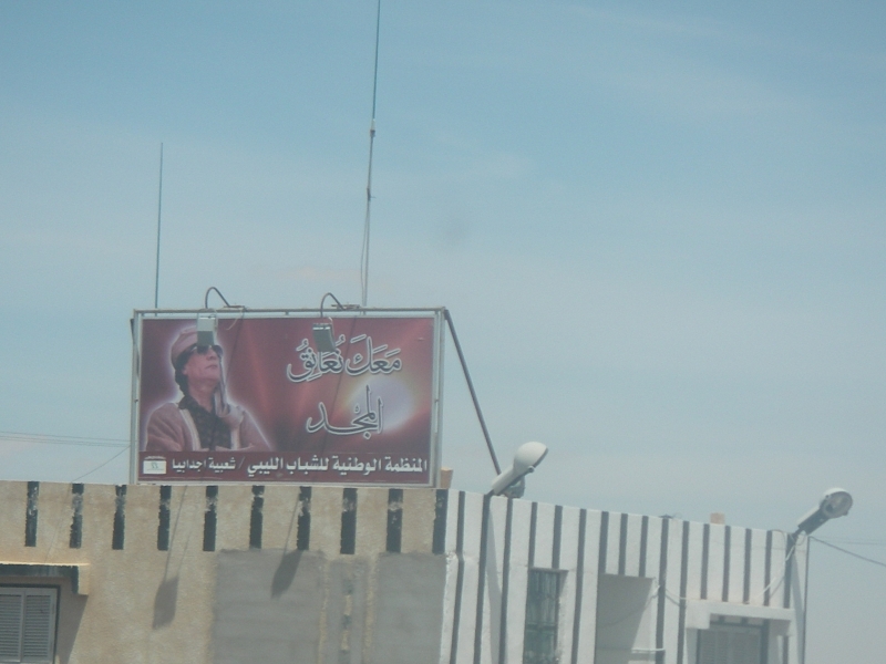 IMGP0204.jpg