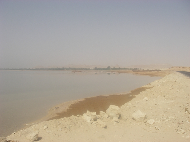 IMGP0375.JPG