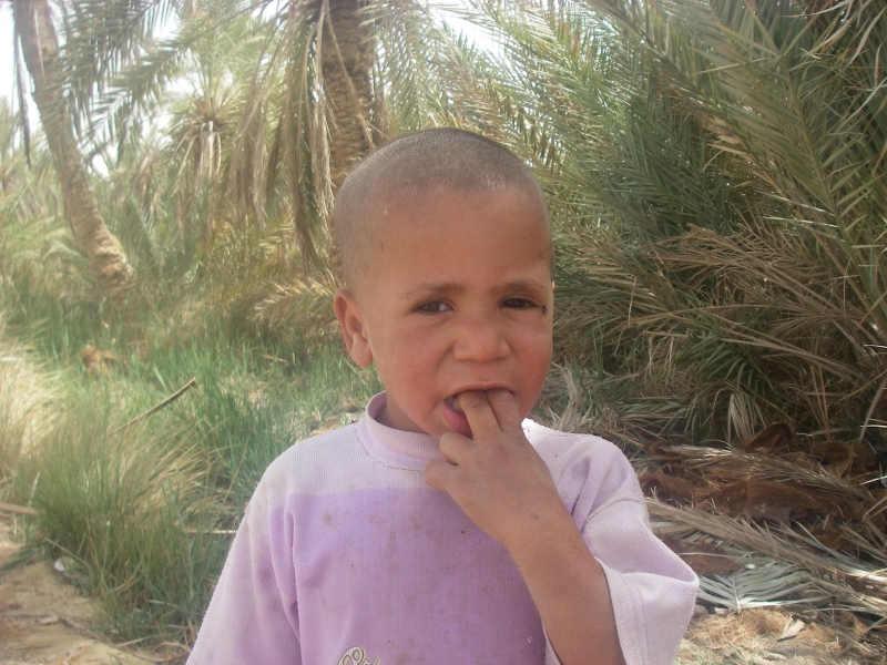 IMGP0414.JPG