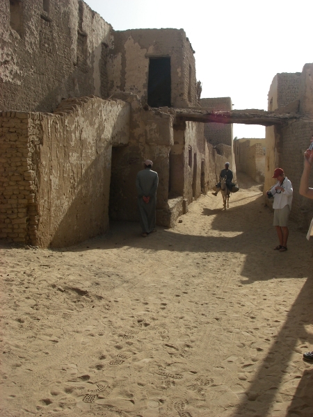 IMGP0774.JPG