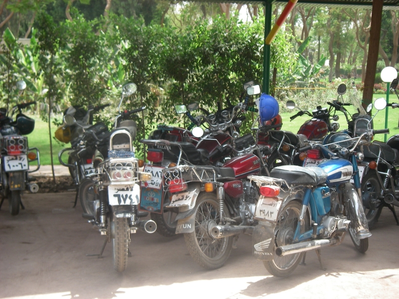 IMGP0832.JPG