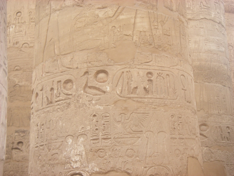 IMGP0879.JPG