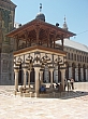IMGP1696.JPG