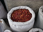 IMGP1779.JPG