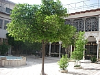 IMGP1810.JPG