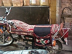 IMGP1882.JPG