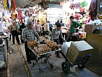 IMGP1905-101.JPG