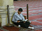 IMGP1905-11.JPG