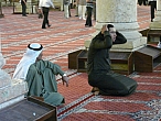 IMGP1905-13.JPG