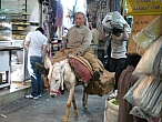 IMGP1905-93.JPG