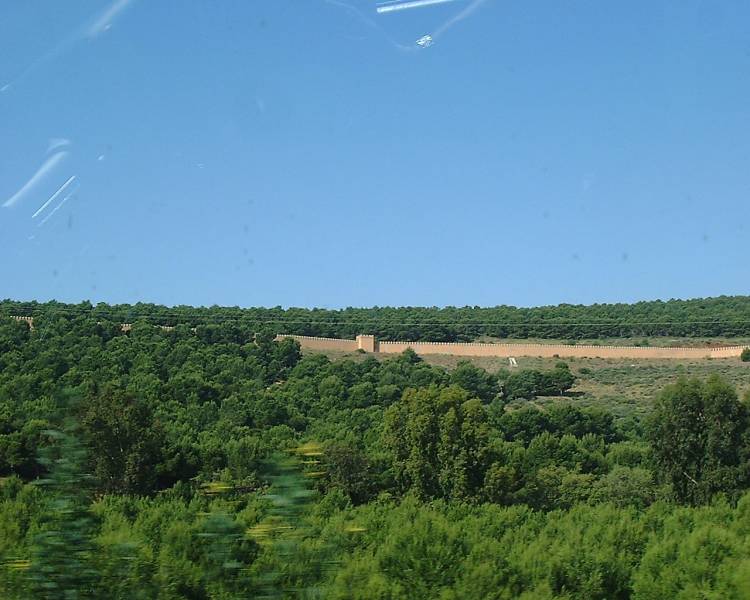 DSCF1061.JPG