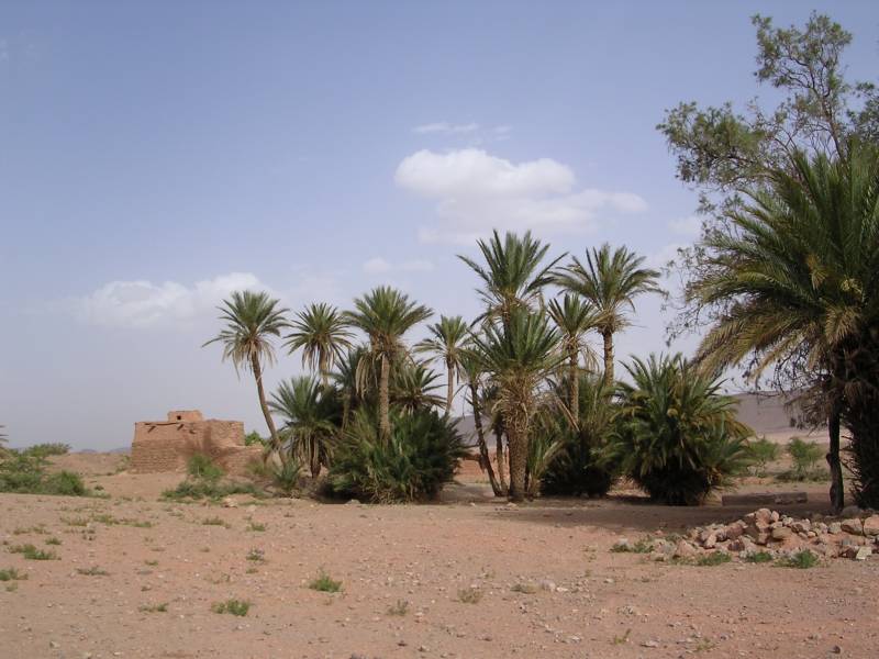 DSCF1198.JPG
