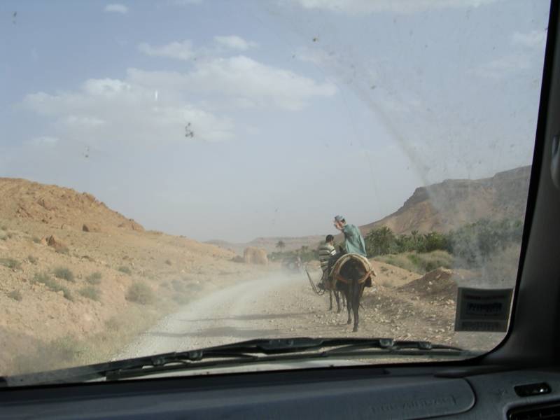DSCF1199-2.JPG