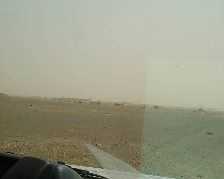 DSCF1223.JPG