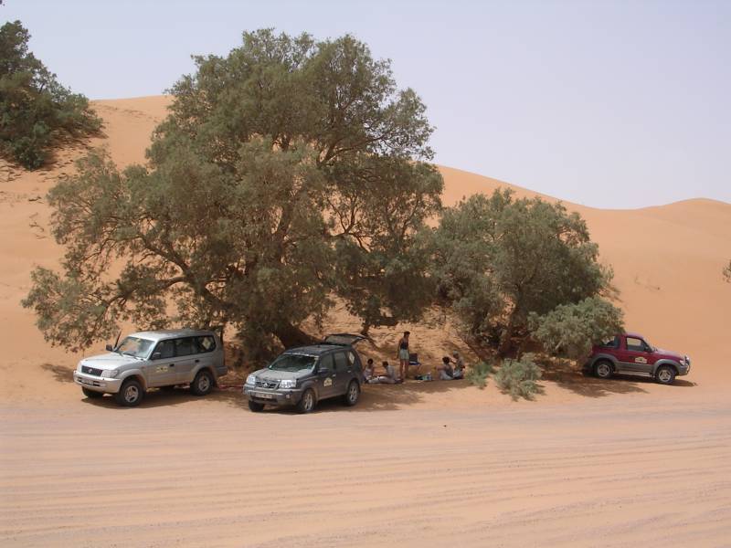 DSCF1247.JPG