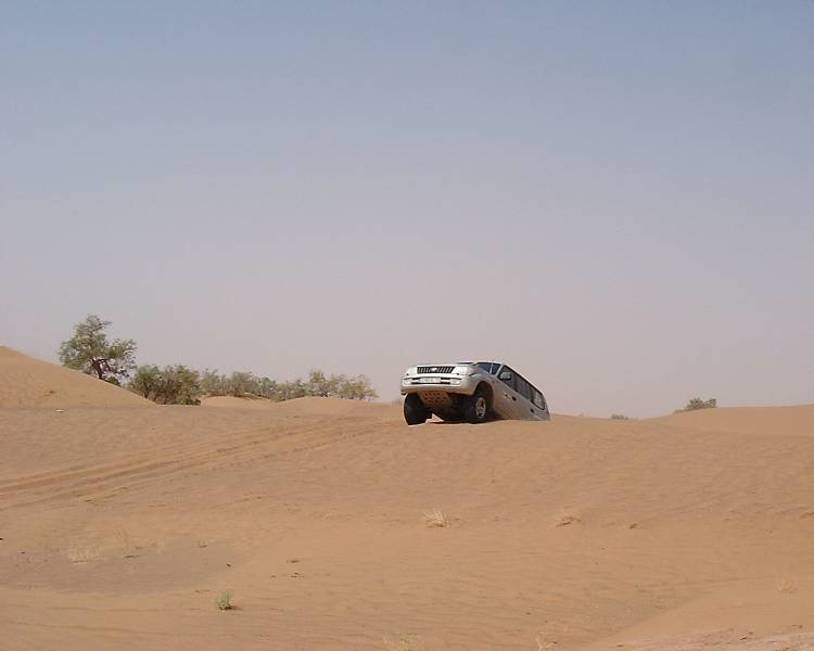 DSCF1308.JPG