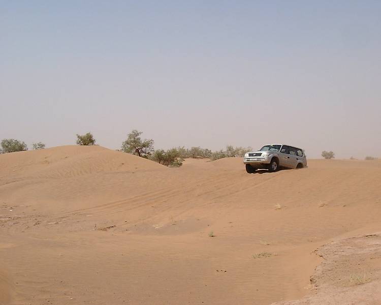 DSCF1311.JPG