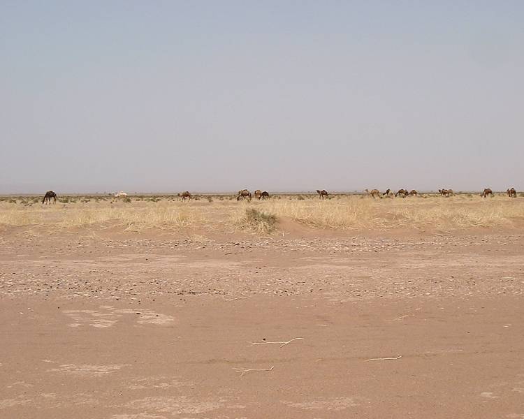 DSCF1321.JPG
