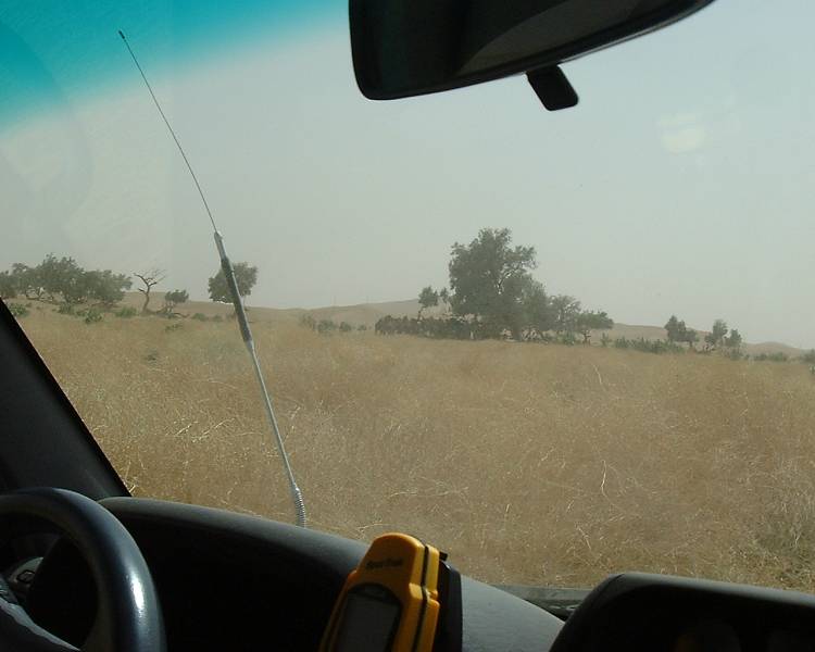 DSCF1334.JPG