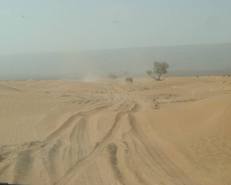 DSCF1345.JPG