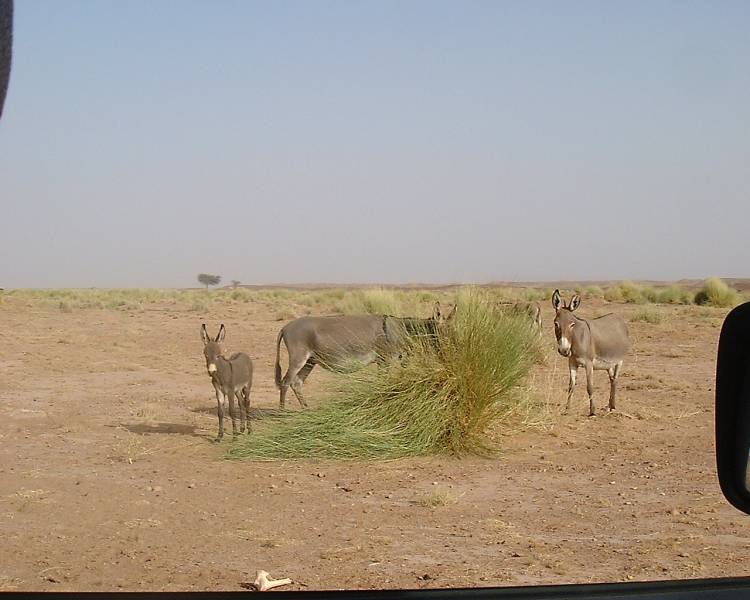 DSCF1352.JPG