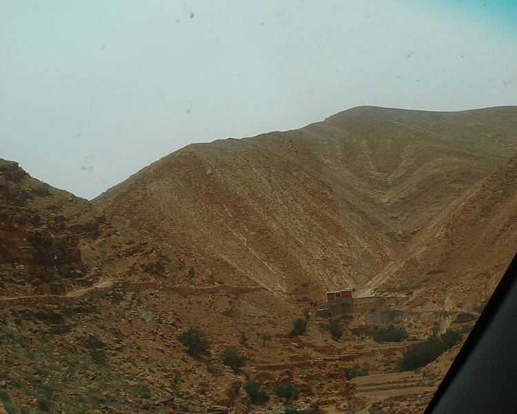 DSCF1442.JPG