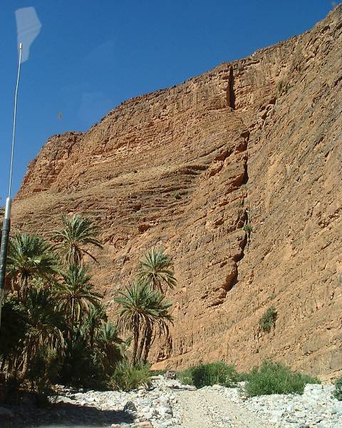 DSCF1497.JPG