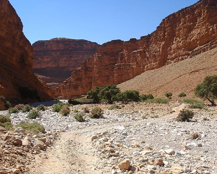 DSCF1499.JPG