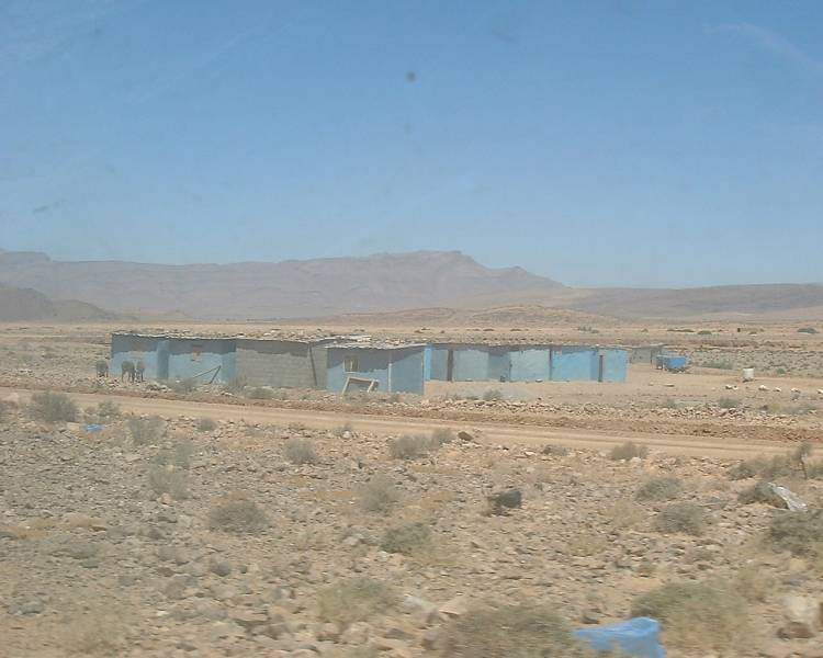 DSCF1513.JPG
