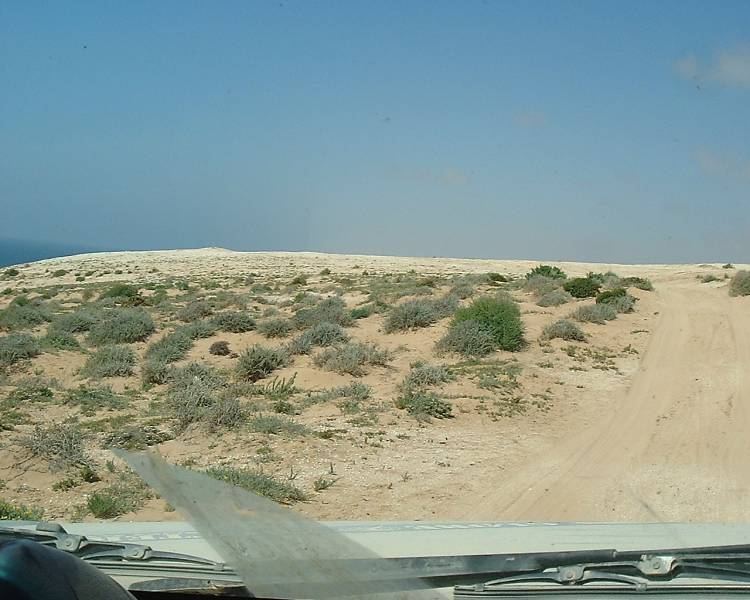 DSCF1535.JPG