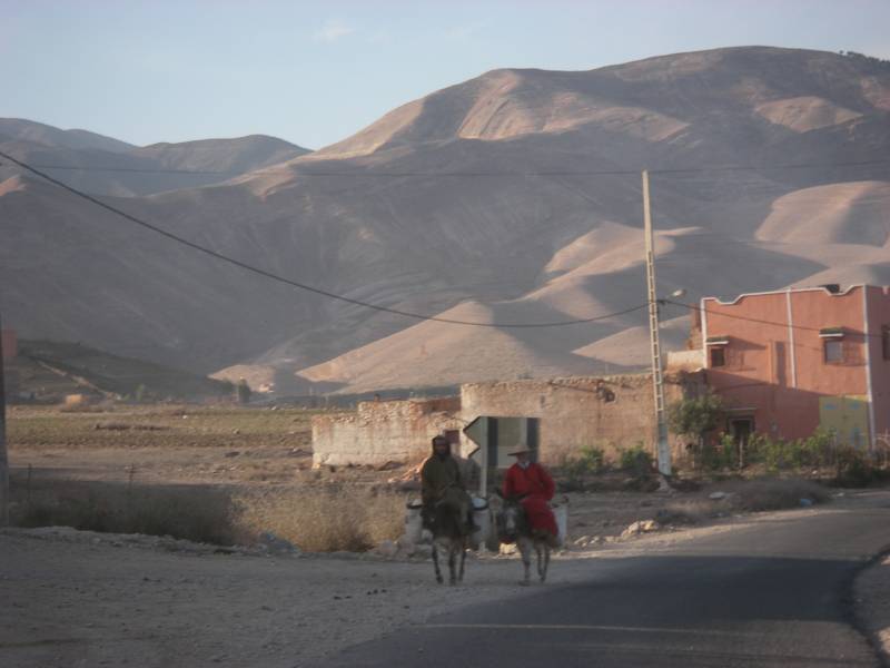 IMGP0400.JPG